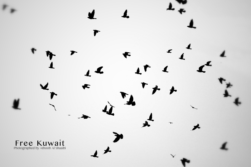 FreeKuwait2011