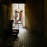 IMG_4484