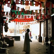 IMG_4493
